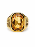 انگشتر مردانه استیل طلایی نگین عسلی مدل Royal Amber