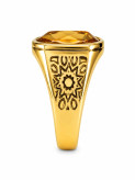 انگشتر مردانه استیل طلایی نگین عسلی مدل Royal Amber